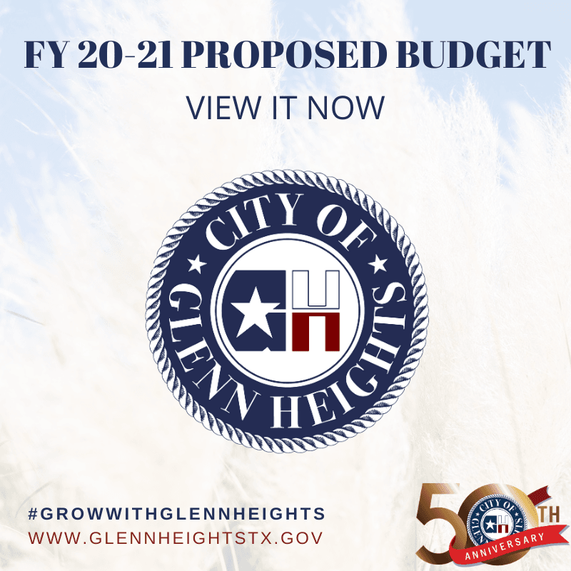 FY 2020-2021 Proposed Budget Graphic