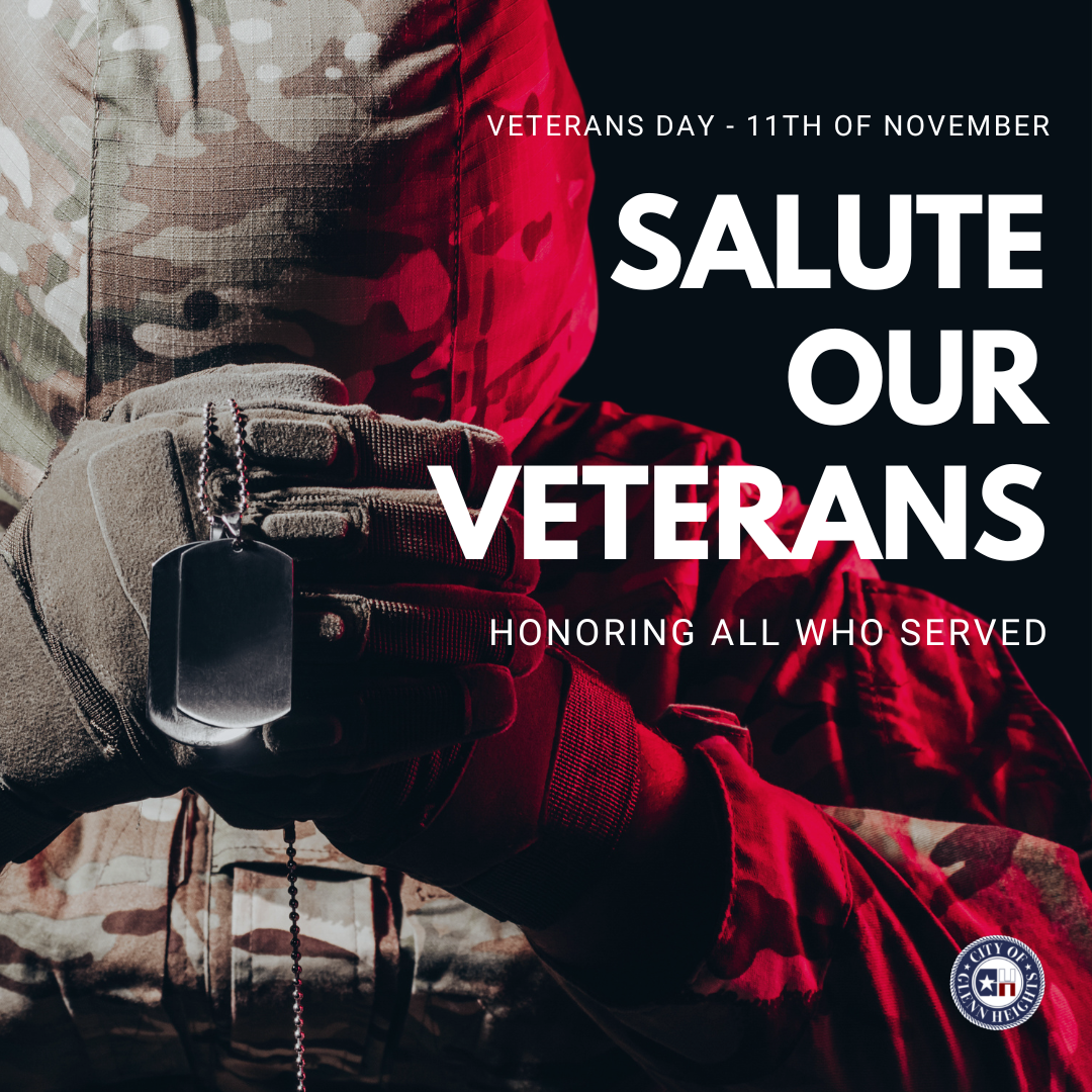 Veterans Day Graphic