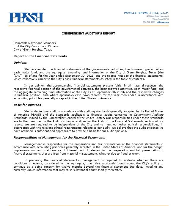 Independent Auditors Report